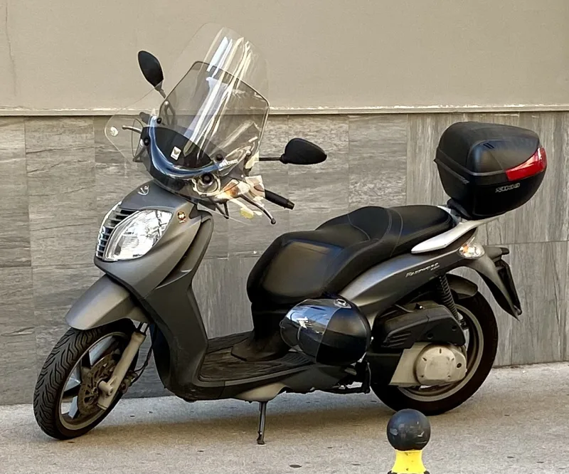 2010 Malaguti Password 250 Motorrad