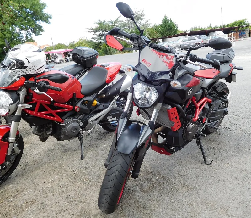 2017 Yamaha MT-07 Moto Cage Motorrad